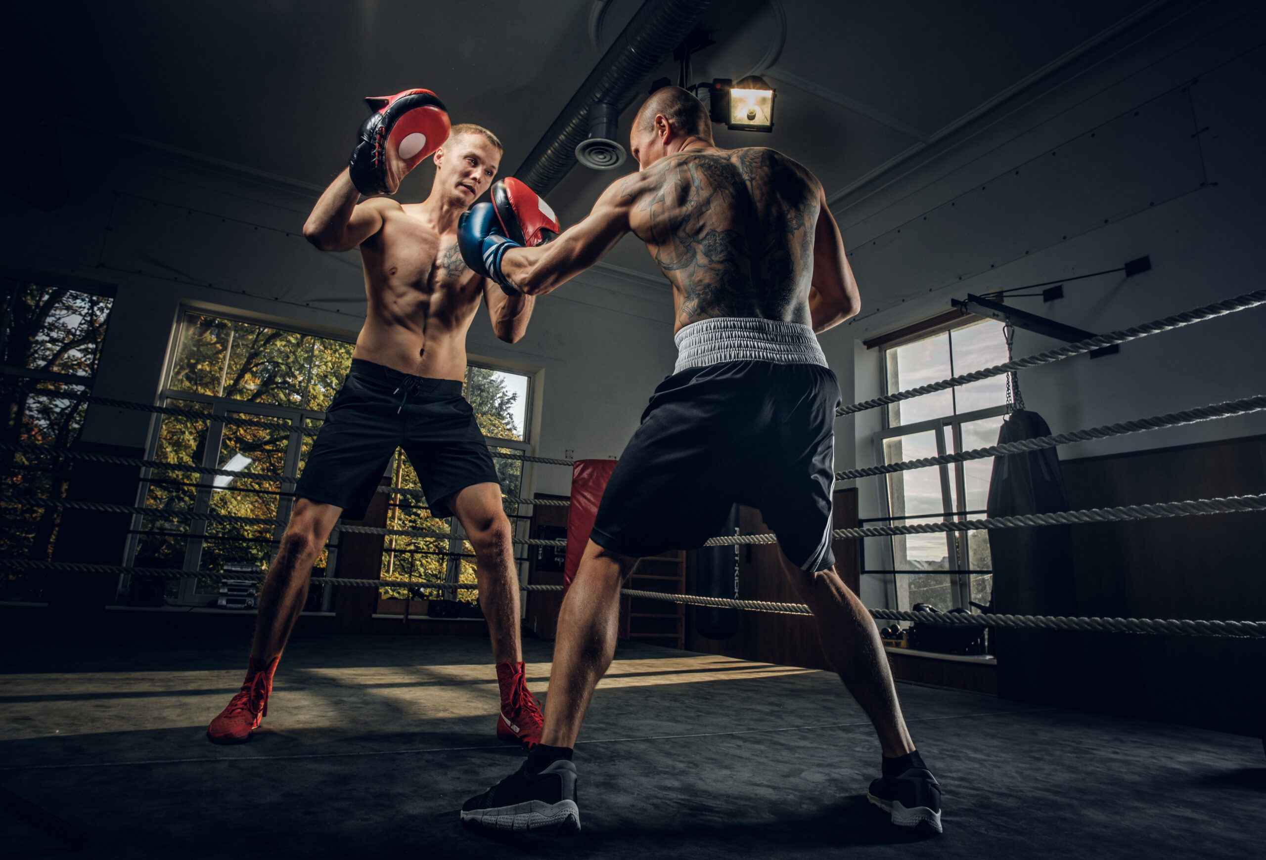 Sparring Sessions In Gloucester